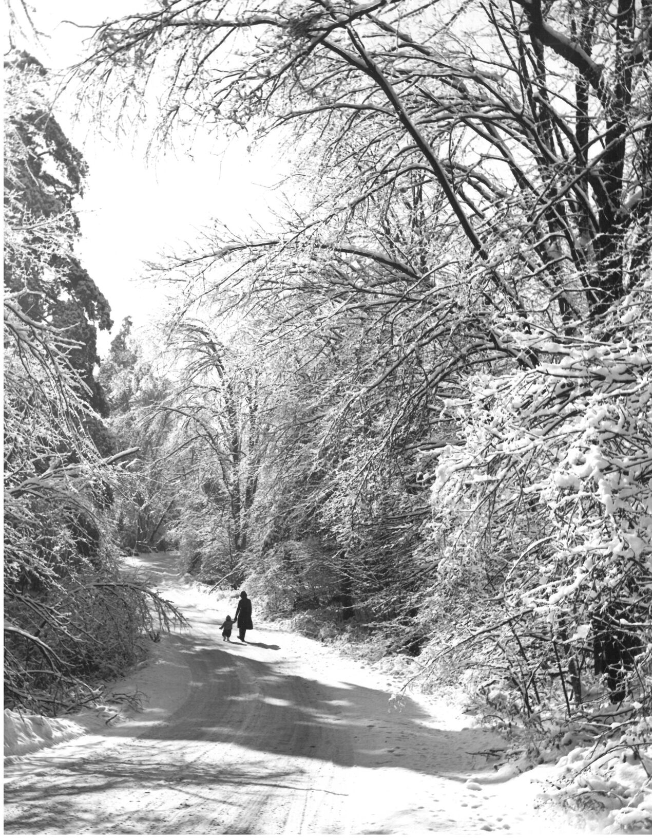 A walk in the snow